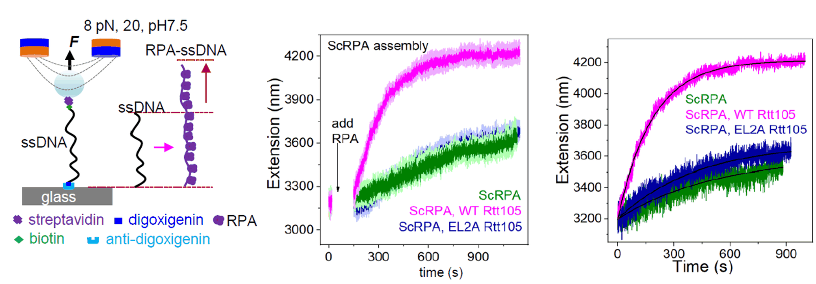 Publications | Zhang Lab